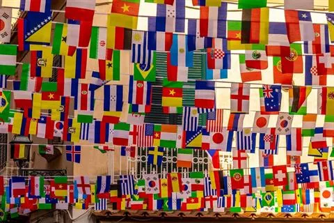 Diploma di Liceo Linguistico Online