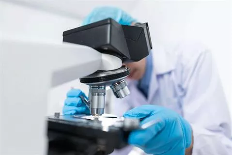 Diploma di Liceo Scientifico Online